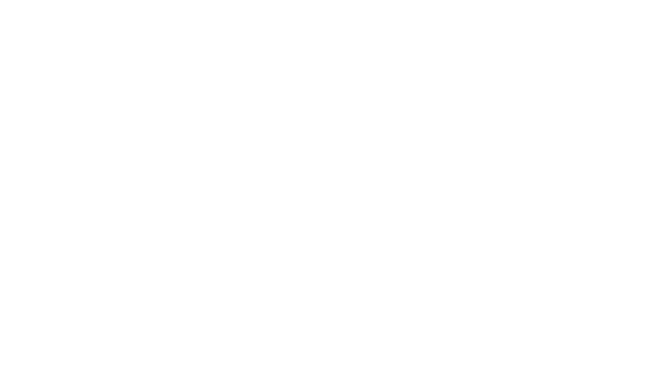 FlashEdit logo